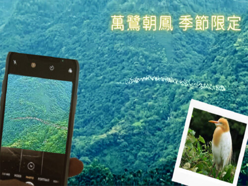 國內(中部)雲林限定季節~萬鷺朝鳳 下午茶 二日