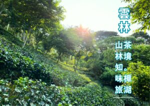 茶境樟湖。山林知味旅一日遊