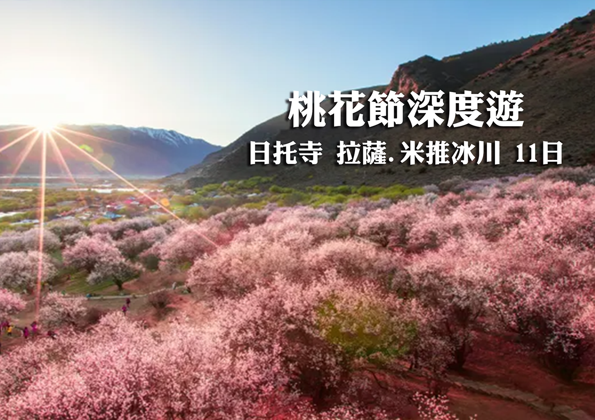桃花節深度遊~日托寺 拉薩.米推冰川11日